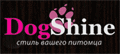 DogShine (ДогШайн)